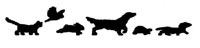 <P align=center><SPAN style="FONT-SIZE: 12pt; FONT-FAMILY: 'Times New Roman'; mso-fareast-font-family: 'Times New Roman'; mso-ansi-language: EN-US; mso-fareast-language: EN-US; mso-bidi-language: AR-SA"><FONT face="Comic Sans MS" size=5><STRONG>Sweeten Creek Animal and Bird Hospital</STRONG></FONT> <BR><SPAN style="COLOR: #404040; FONT-FAMILY: Verdana"><STRONG><FONT size=2>Providing Special Care for Cats, Dogs, Birds, and Exotic pets since 1995</FONT></STRONG></SPAN><BR></P></SPAN>