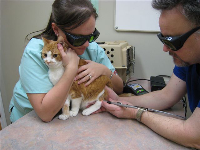 K-Laser Therapy