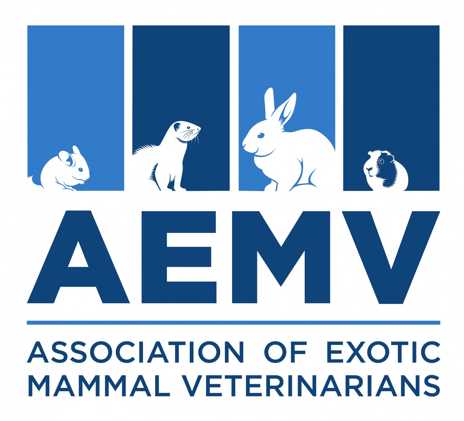 aemv logo